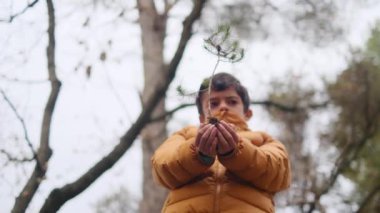 Küçük bir ağaç fidanı tutan genç bir çocuk.