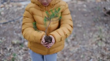 Küçük bir ağaç fidanı tutan genç bir çocuk.