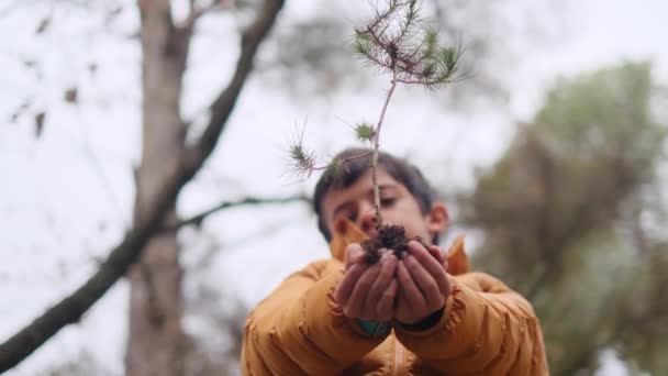 Молодий Хлопчик Тримає Маленьке Дерево Руках — стокове відео