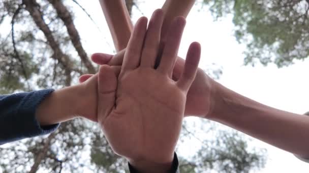 Família Dando Mãos Juntas Livre — Vídeo de Stock