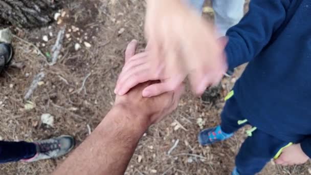 Семья Поднимает Руки Открытом Воздухе — стоковое видео