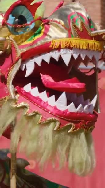 Dragon Tijdens Chinees Nieuwjaar Festival — Stockvideo