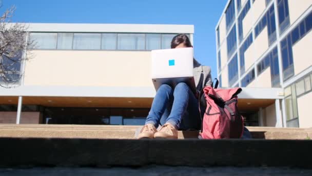 Genç Bir Kadın Parkta Oturuyor Modern Dizüstü Bilgisayar Kullanıyor Serbest — Stok video
