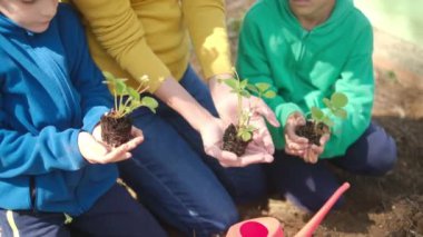 Anne ve oğulları bahçede tohum dikiyorlar.