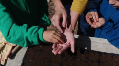 Anne, oğullarına dışarıda, masada tohum ekmeyi öğretirken kısmen görülüyor.