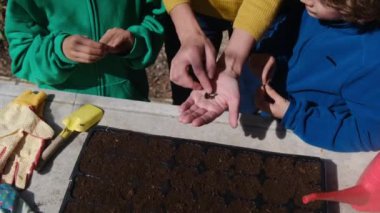 Anne, oğullarına dışarıda, masada tohum ekmeyi öğretirken kısmen görülüyor.