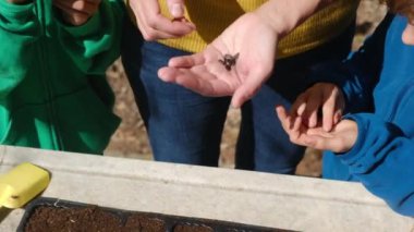 Anne, oğullarına dışarıda, masada tohum ekmeyi öğretirken kısmen görülüyor.