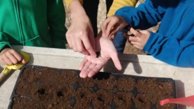 Anne, oğullarına dışarıda, masada tohum ekmeyi öğretirken kısmen görülüyor.