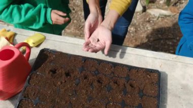 Anne, oğullarına dışarıda, masada tohum ekmeyi öğretirken kısmen görülüyor.