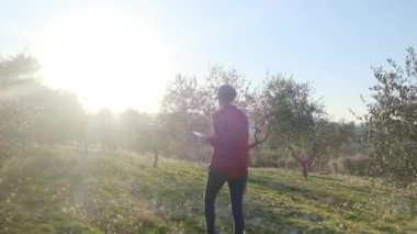 Dijital tabletli modern kadın çiftçi güneşli bahar gününde meyve bahçesini kontrol ediyor.