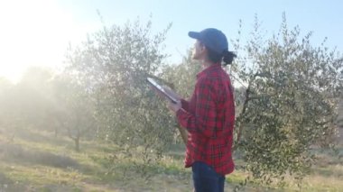 Dijital tabletli modern kadın çiftçi güneşli bahar gününde meyve bahçesini kontrol ediyor.
