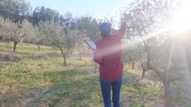 Dijital tabletli modern kadın çiftçi güneşli bahar gününde meyve bahçesini kontrol ediyor.