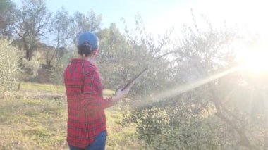 Dijital tabletli modern kadın çiftçi güneşli bahar gününde meyve bahçesini kontrol ediyor.