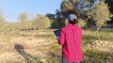 Dijital tabletli modern kadın çiftçi güneşli bahar gününde meyve bahçesini kontrol ediyor.