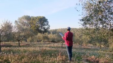 Dijital tabletli modern kadın çiftçi güneşli bahar gününde meyve bahçesini kontrol ediyor.