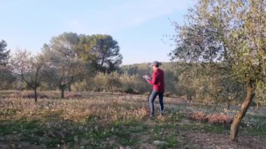 Dijital tabletli modern kadın çiftçi güneşli bahar gününde meyve bahçesini kontrol ediyor.