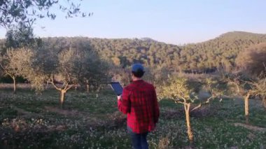 Dijital tabletli modern kadın çiftçi güneşli bahar gününde meyve bahçesini kontrol ediyor.