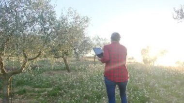 Dijital tabletli modern kadın çiftçi güneşli bahar gününde meyve bahçesini kontrol ediyor.