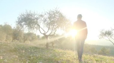 Dijital tabletli modern kadın çiftçi güneşli bahar gününde meyve bahçesini kontrol ediyor.