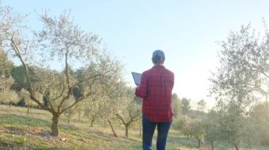 Dijital tabletli modern kadın çiftçi güneşli bahar gününde meyve bahçesini kontrol ediyor.