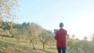 Dijital tabletli modern kadın çiftçi güneşli bahar gününde meyve bahçesini kontrol ediyor.