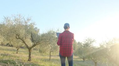 Dijital tabletli modern kadın çiftçi güneşli bahar gününde meyve bahçesini kontrol ediyor.