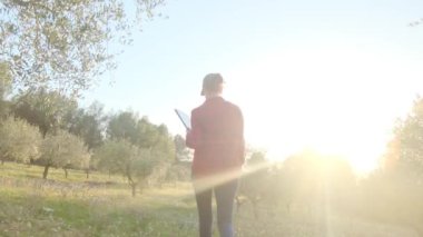 Dijital tabletli modern kadın çiftçi güneşli bahar gününde meyve bahçesini kontrol ediyor.