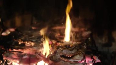 BBQ Ağı 'nda kızarmış et, yanan ateşte.