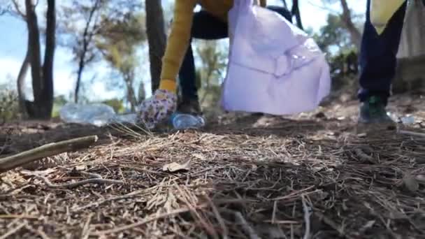 春日阳光明媚 母亲和儿子在大自然中捡垃圾 — 图库视频影像