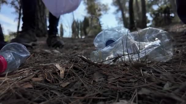 Moeder Zonen Verzamelen Afval Natuur Zonnige Lentedag — Stockvideo