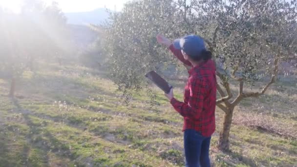 Nowoczesna Kobieta Rolnik Tabletem Cyfrowym Sprawdzanie Jej Ogród Owocowy Słoneczny — Wideo stockowe