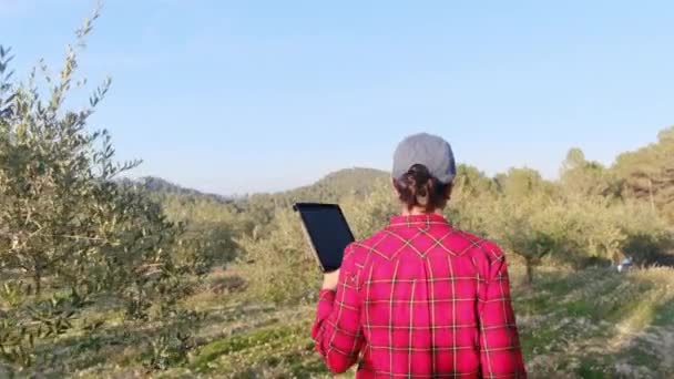 Agricultora Moderna Com Tablet Digital Verificando Seu Jardim Frutas Dia — Vídeo de Stock