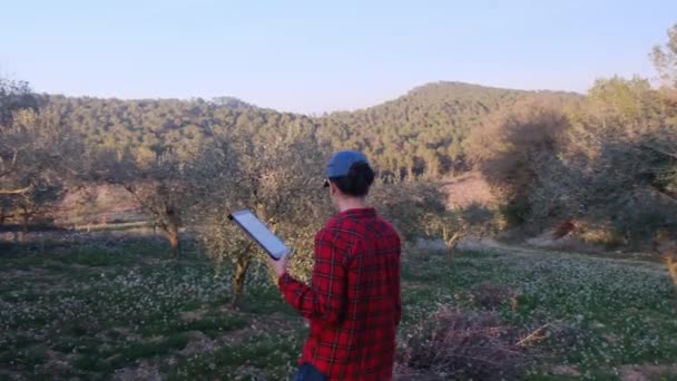 Moderna Agricultora Con Tableta Digital Revisando Jardín Frutas Soleado Día — Vídeo de stock