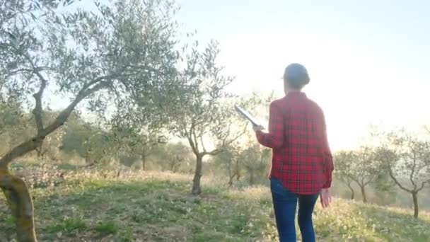 Moderní Fena Farmář Digitálním Tabletem Kontroluje Její Ovocnou Zahradu Slunném — Stock video