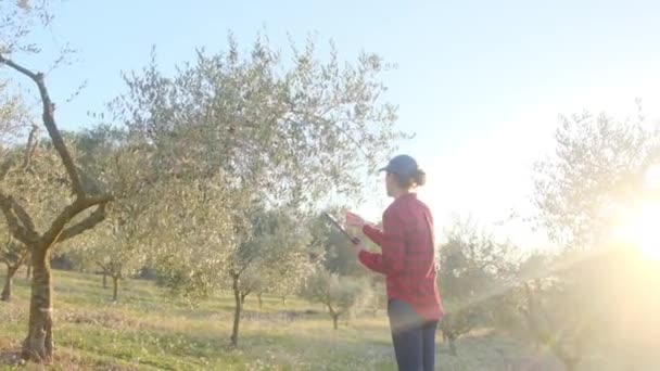 Moderne Vrouwelijke Boer Met Digitale Tablet Die Haar Fruittuin Controleert — Stockvideo