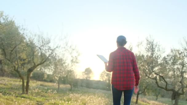 Moderní Fena Farmář Digitálním Tabletem Kontroluje Její Ovocnou Zahradu Slunném — Stock video
