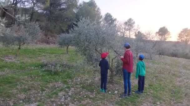 Madre Hijos Revisando Jardín Frutas Soleado Día Primavera — Vídeos de Stock
