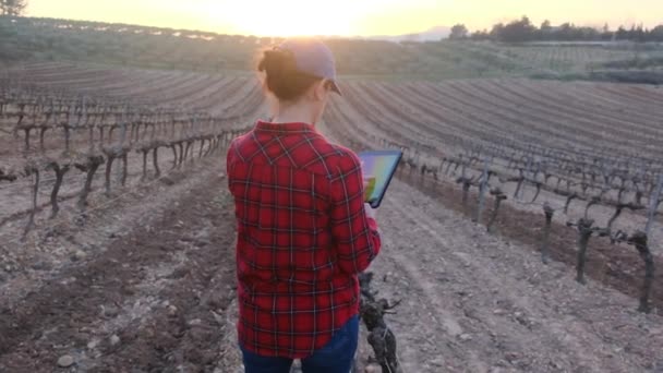 春日阳光明媚的时候 拥有数字平板电脑检查葡萄园的女农民 — 图库视频影像