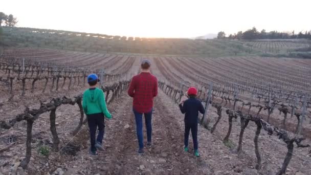 Agricultora Con Tableta Digital Sus Hijos Revisando Viñedos Soleado Día — Vídeos de Stock