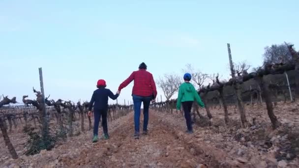 Agricultora Com Tablet Digital Seus Filhos Verificando Vinhas Dia Ensolarado — Vídeo de Stock