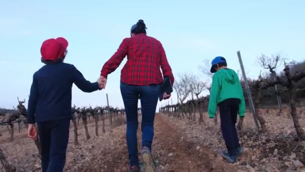 Dijital Tabletli Kadın Çiftçi Oğulları Güneşli Bahar Gününde Üzüm Bağlarını — Stok video