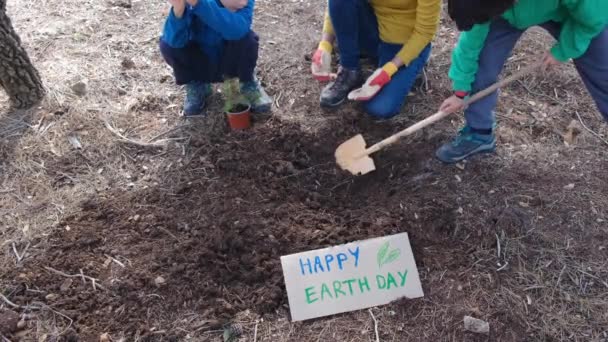 Madre Bambini Piantare Nuova Pianta Terra All Aperto Durante Buona — Video Stock