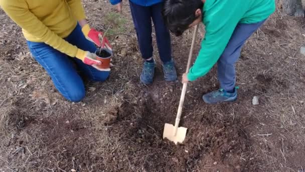 Мать Дети Посадили Новое Растение Открытом Воздухе Время Дня Счастливой — стоковое видео