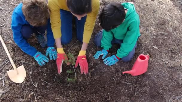 Mère Enfants Plantant Une Nouvelle Plante Dans Sol Extérieur Pendant — Video