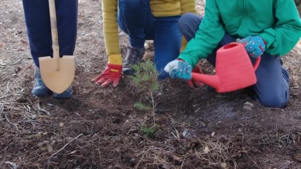 Mãe Crianças Plantando Nova Planta Chão Livre Durante Feliz Dia — Vídeo de Stock