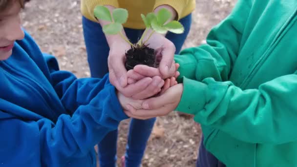 Μητέρα Και Παιδιά Που Κρατούν Νέο Φυτό Στο Έδαφος Στα — Αρχείο Βίντεο