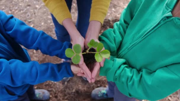 Mutter Und Kinder Halten Neue Pflanze Den Händen — Stockvideo