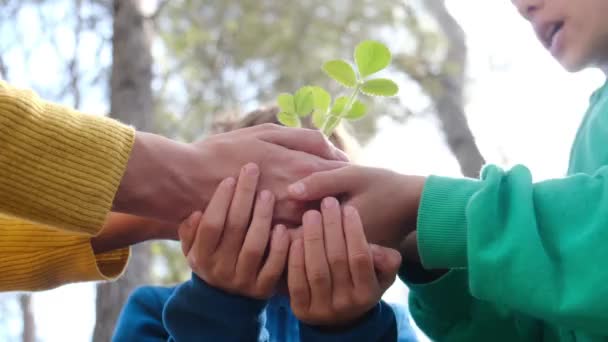 Anya Gyerekek Növényt Tartanak Földben — Stock videók