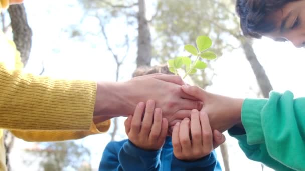 Mutter Und Kinder Halten Neue Pflanze Den Händen — Stockvideo