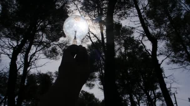 母親と息子の手の一部は 森で太陽を照らすランプを握っています 省エネのコンセプト — ストック動画